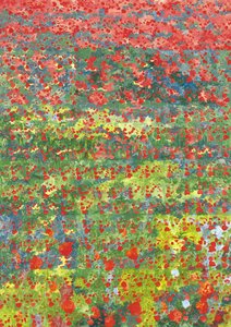 खसखस, 2012